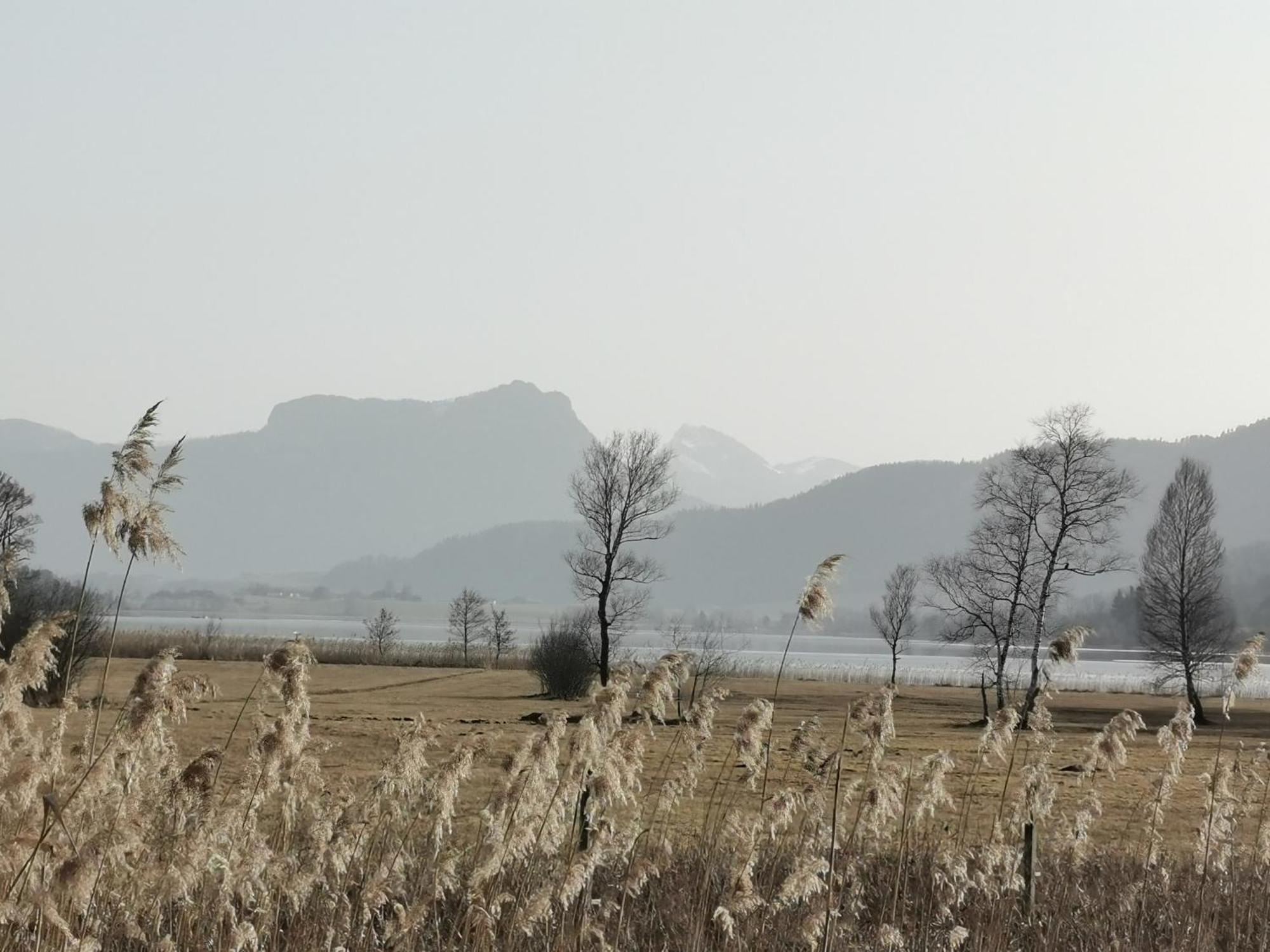 桑霍夫酒店 Oberhofen am Irrsee 外观 照片