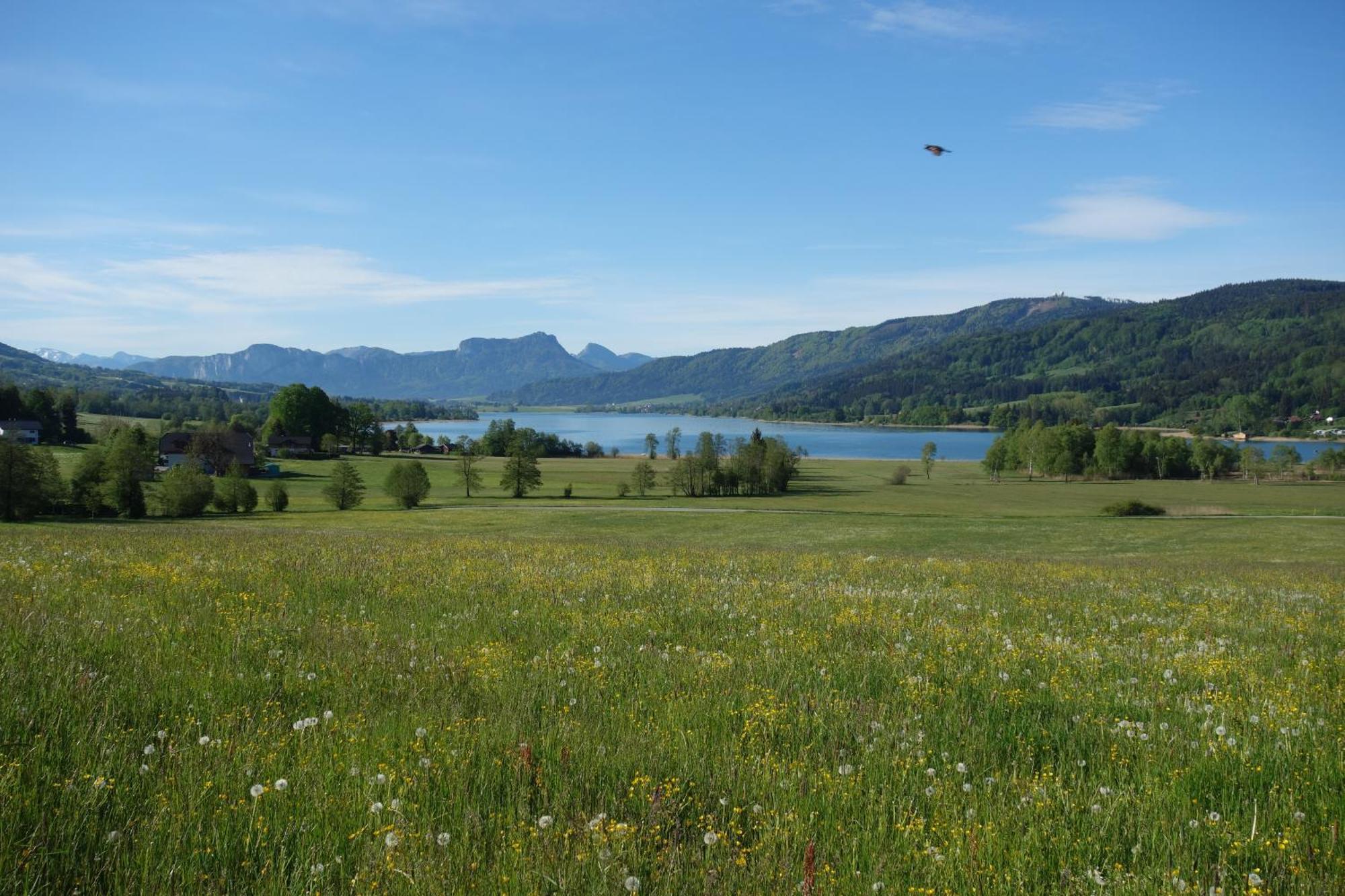 桑霍夫酒店 Oberhofen am Irrsee 外观 照片
